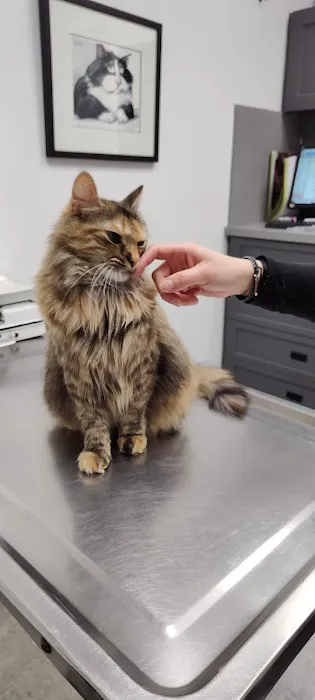 Brewster Veterinary Hospital 12
