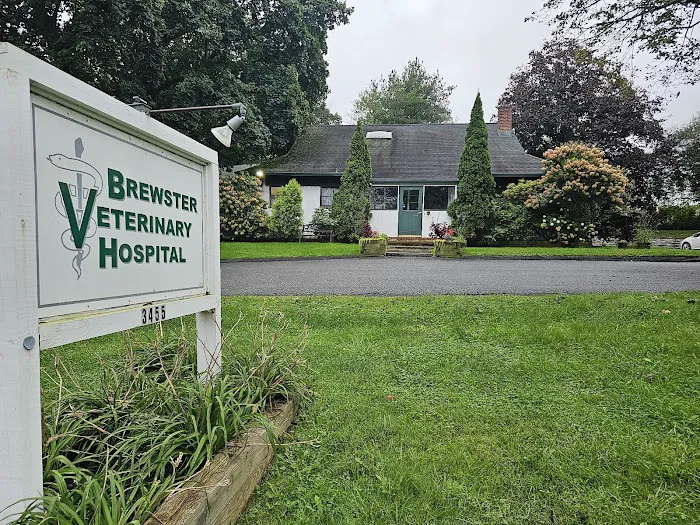 Brewster Veterinary Hospital 12