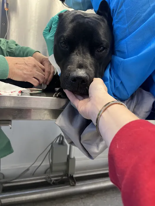 Brewster Veterinary Hospital 12