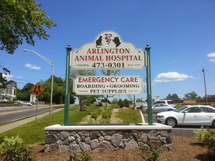 Arlington Animal Hospital 5