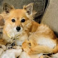Marbletown Animal Hospital ico