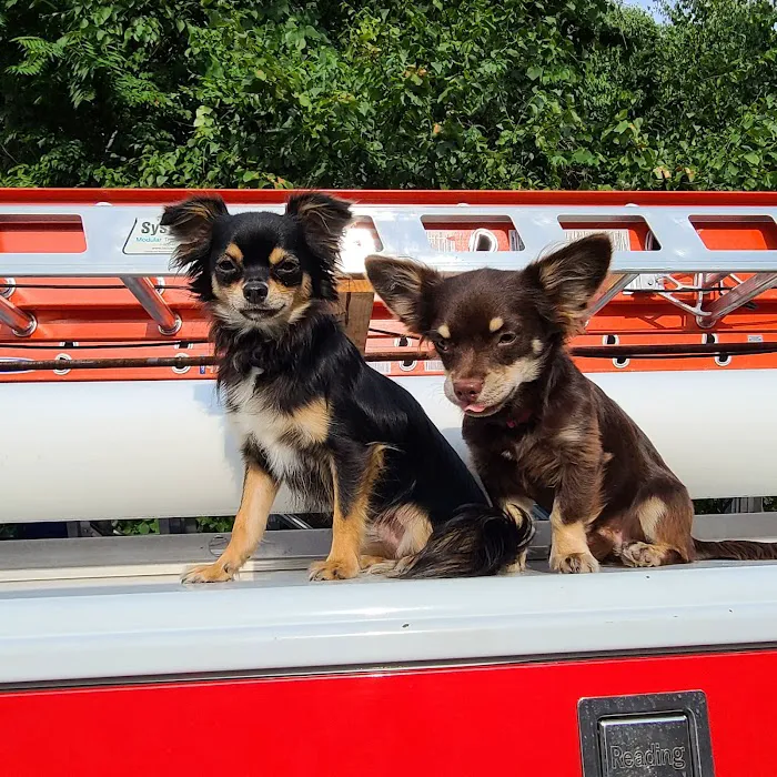 Upstate Spay and Neuter 12