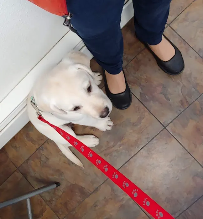 Ark Animal Hospital 12