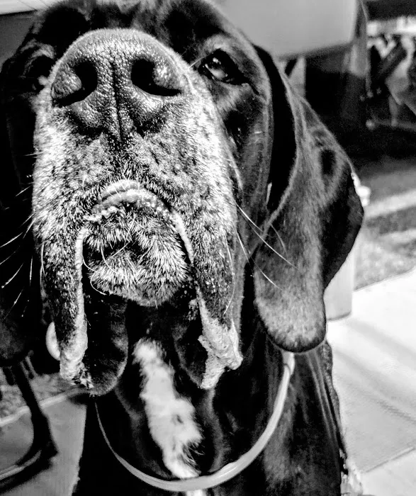 Ark Animal Hospital 12