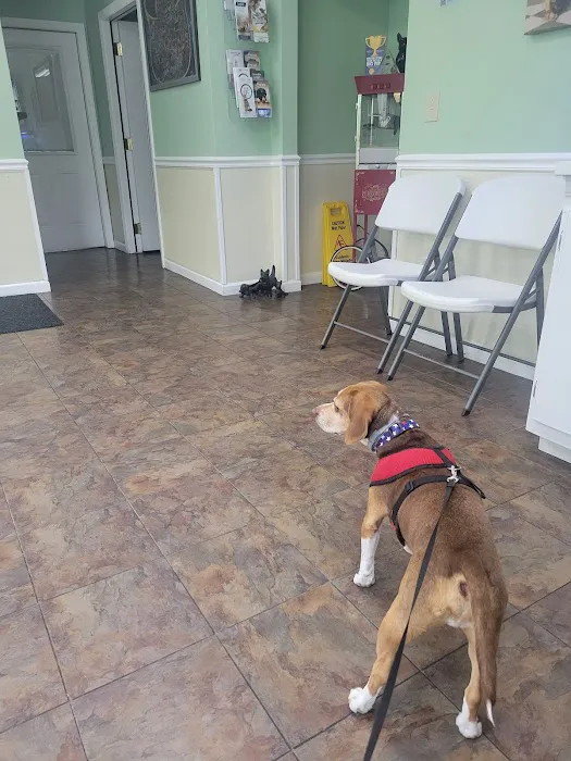 Ark Animal Hospital 12
