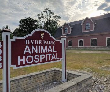 Hyde Park Animal Hospital