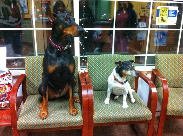 Hyde Park Animal Hospital 12