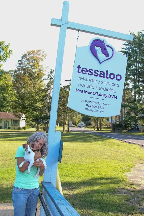 TessaLoo Veterinary Services 12