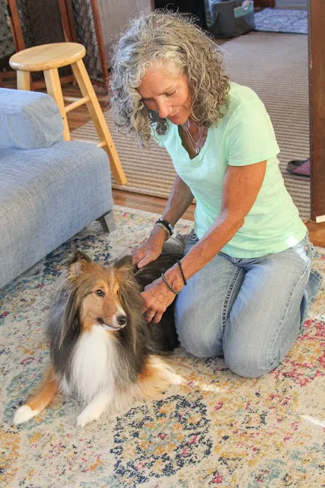 TessaLoo Veterinary Services 12