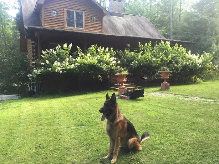 Reservoir Veterinary Hospital 12