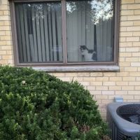 Valley Veterinary Hospital ico