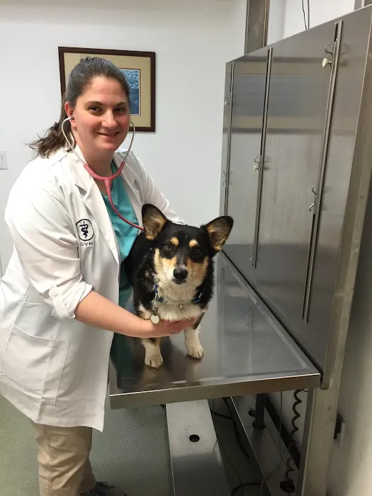 Valley Veterinary Hospital 10