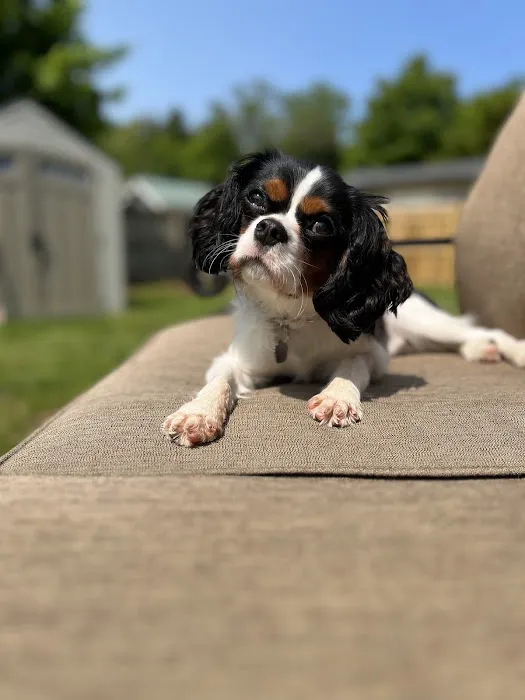 Fieldstone Veterinary Care 12