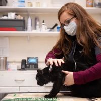 Valley Veterinary Hospital ico