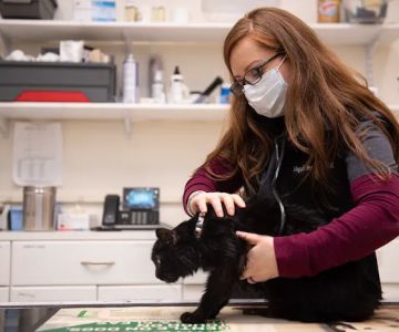 Valley Veterinary Hospital