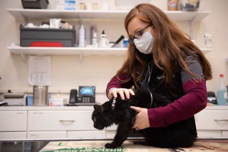 Valley Veterinary Hospital