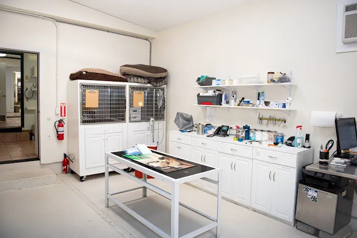 Valley Veterinary Hospital 2
