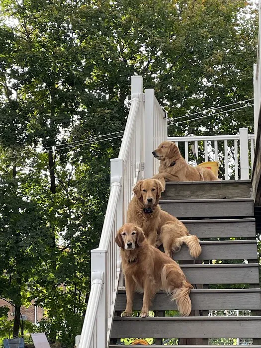 New Milford Animal Hospital: 8