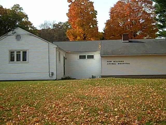 New Milford Animal Hospital: 4