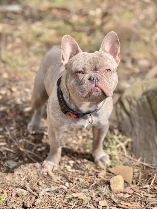 New Milford Animal Hospital: 1