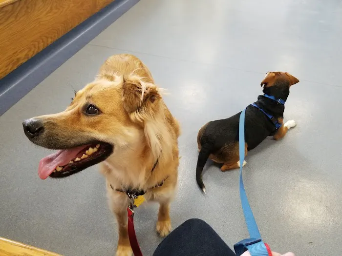 Mill Plain Veterinary Clinic 12