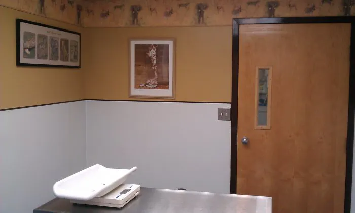 VCA Northside Animal Hospital 12
