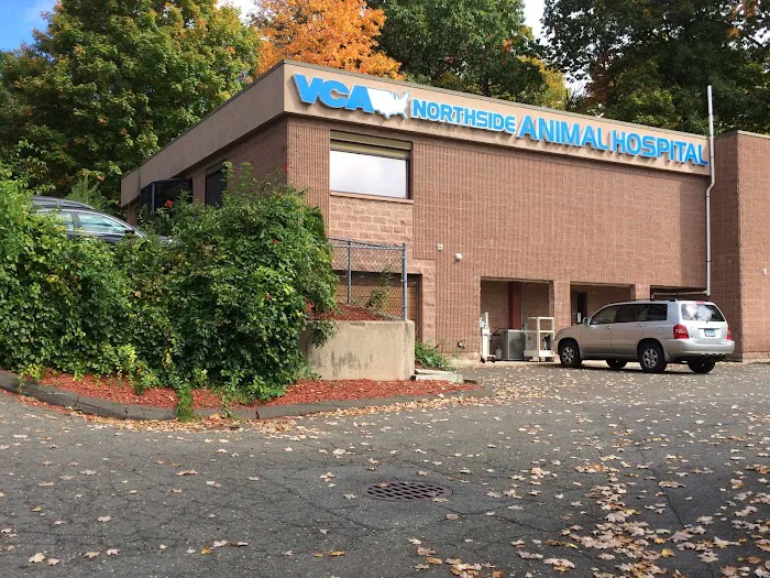 VCA Northside Animal Hospital 12