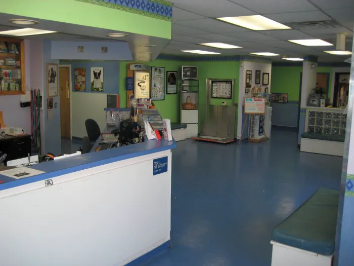 VCA Northside Animal Hospital 12