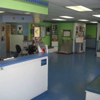 VCA Northside Animal Hospital ico