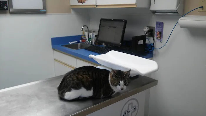 VCA Northside Animal Hospital 12