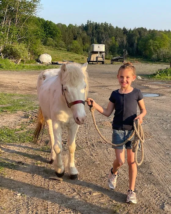 Northeast Pennsylvania Equine Clinic, LLC 12