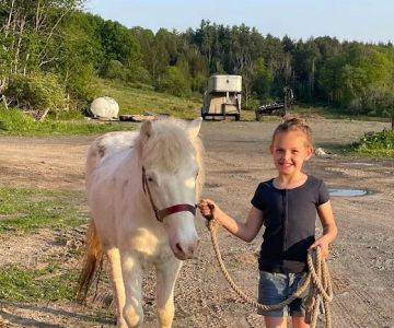 Northeast Pennsylvania Equine Clinic, LLC