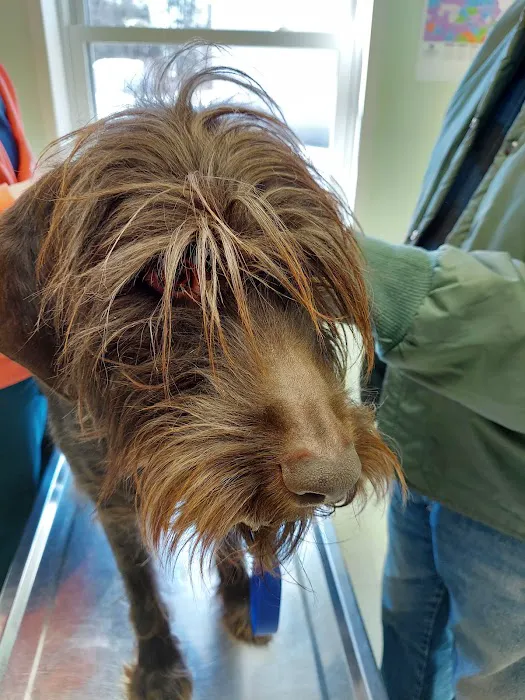 Acre Lake Veterinary Hospital 12
