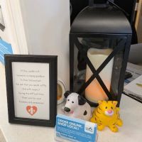 North Winds Veterinary Services ico
