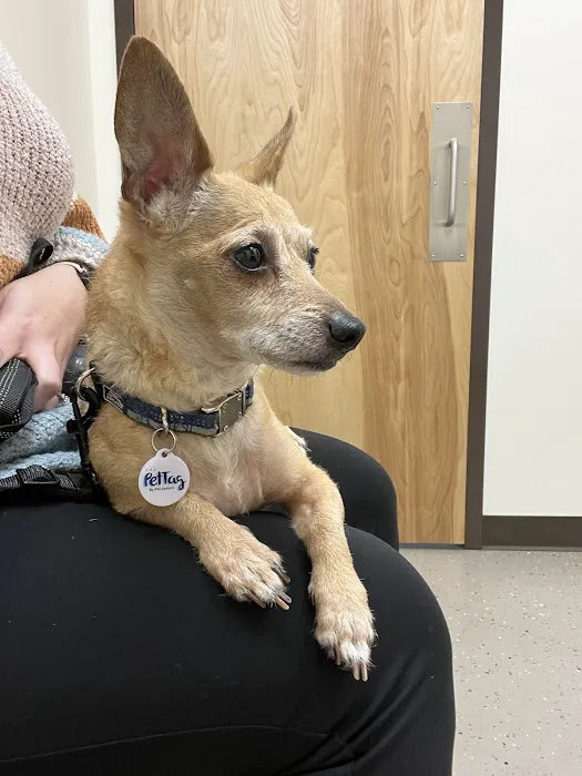 North Winds Veterinary Services 12