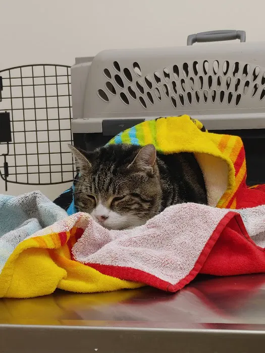 North Winds Veterinary Services 12