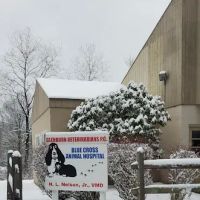 Glenburn Veterinarians, P.C. ico