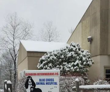 Glenburn Veterinarians, P.C.
