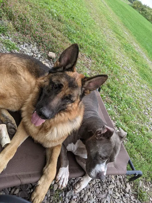 Schultzville Animal Hospital 1