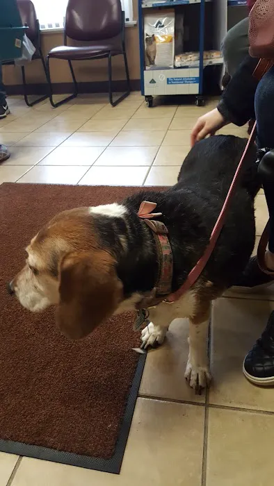 Memorial Veterinary Hospital 12