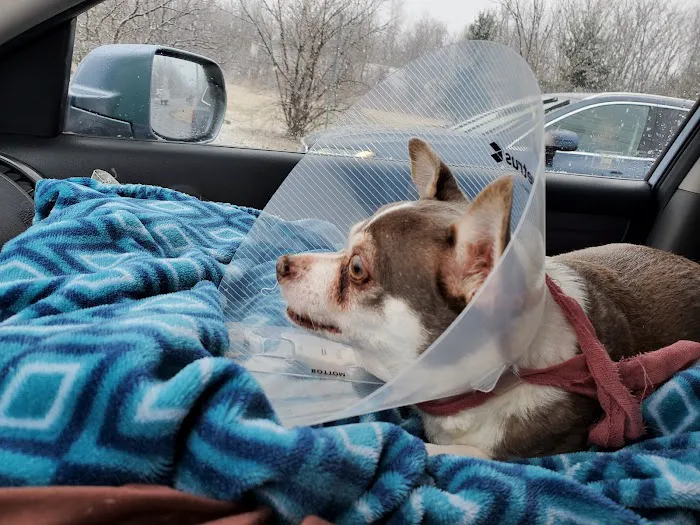 Memorial Veterinary Hospital 12