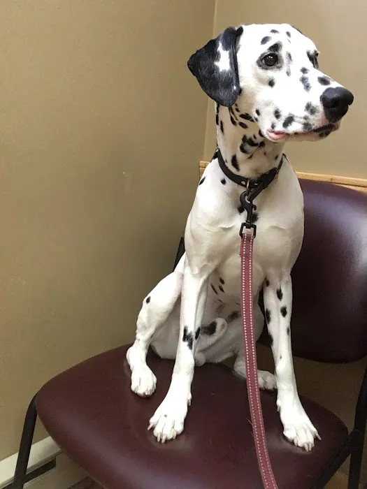 Memorial Veterinary Hospital 12