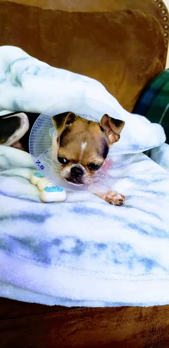Memorial Veterinary Hospital 12