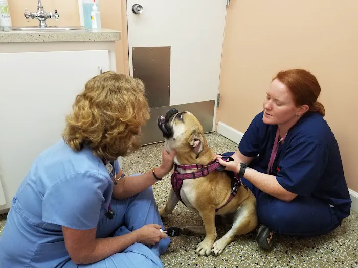 Sedgefield Animal Hospital 5