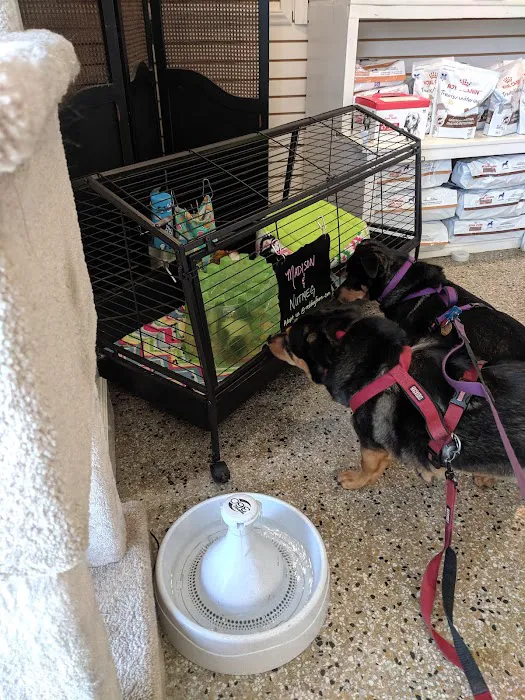 Sedgefield Animal Hospital 2