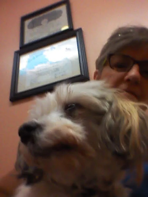 Sedgefield Animal Hospital 3
