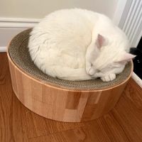 Guilford-Jamestown Veterinary Hospital ico