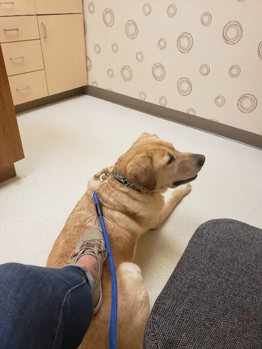 Guilford-Jamestown Veterinary Hospital 2