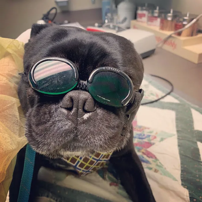 Triad Animal Hospital 2