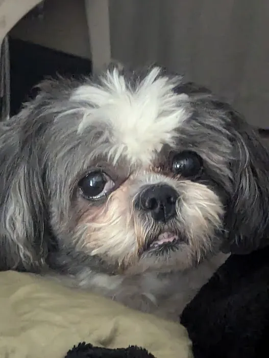 Hopkins Road Animal Hospital 5